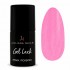 Gel Lack Muddy Water 6ml
